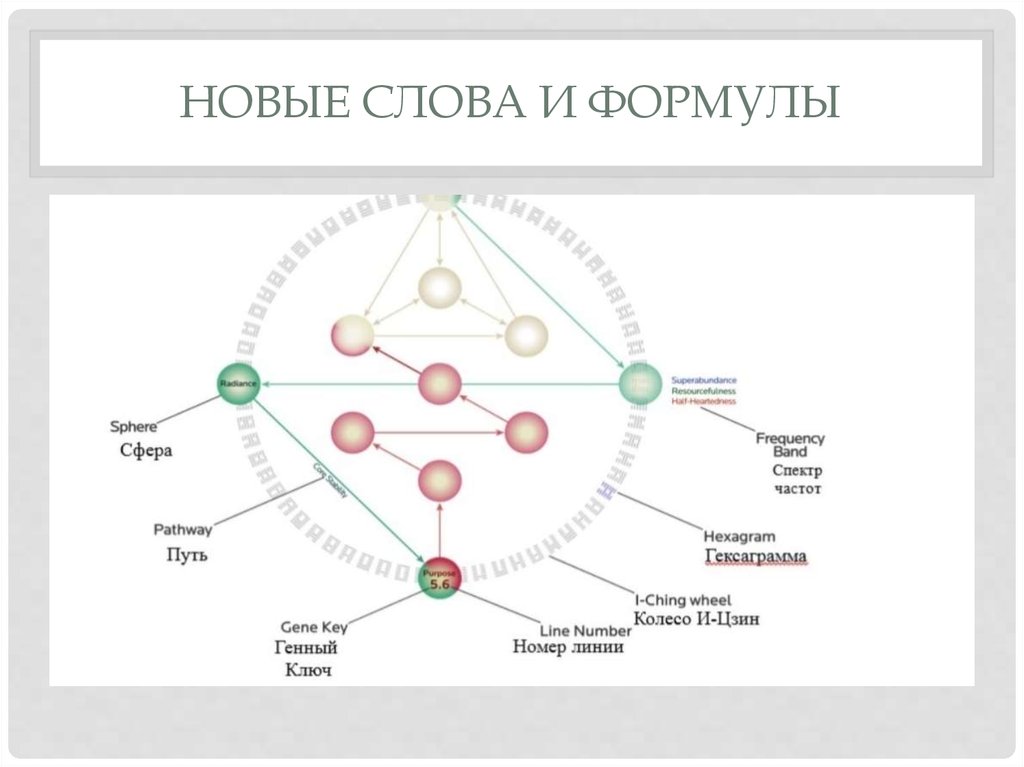 Карта порядка активация