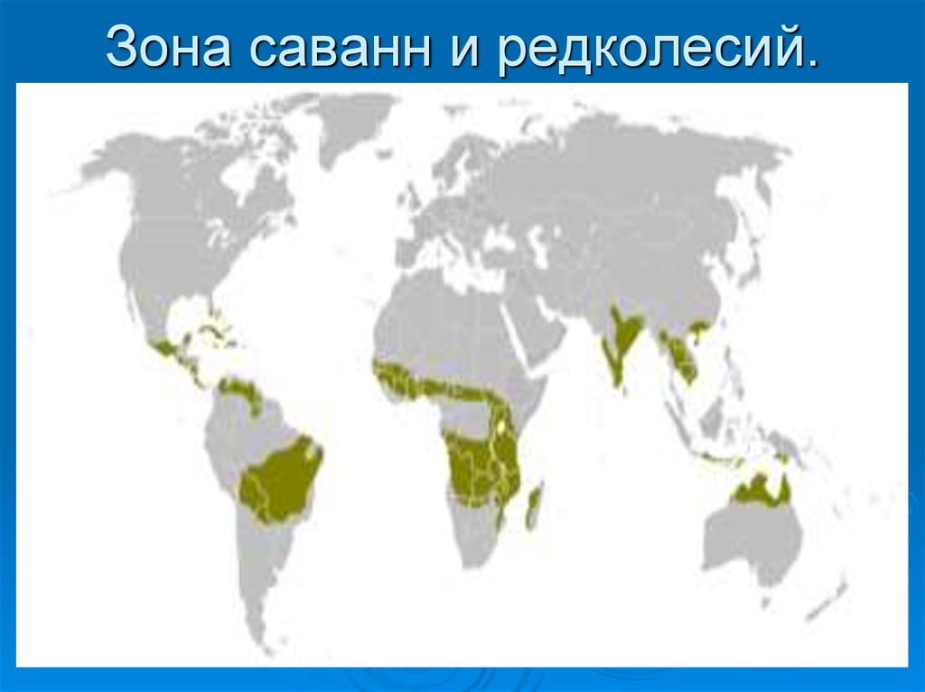 Континент лес. Зона саванн и редколесий на карте. Саванны и редколесья на карте. Саванна природная зона на карте.