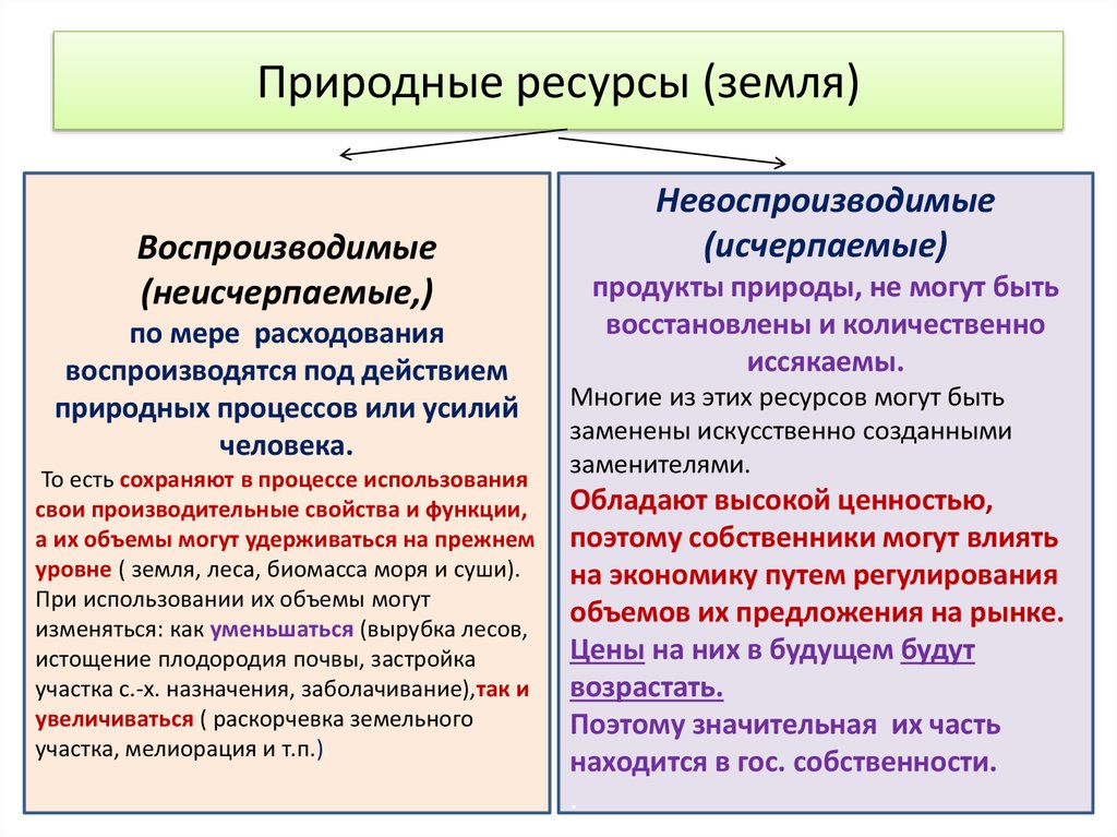 Невоспроизводимые ресурсы проекта это