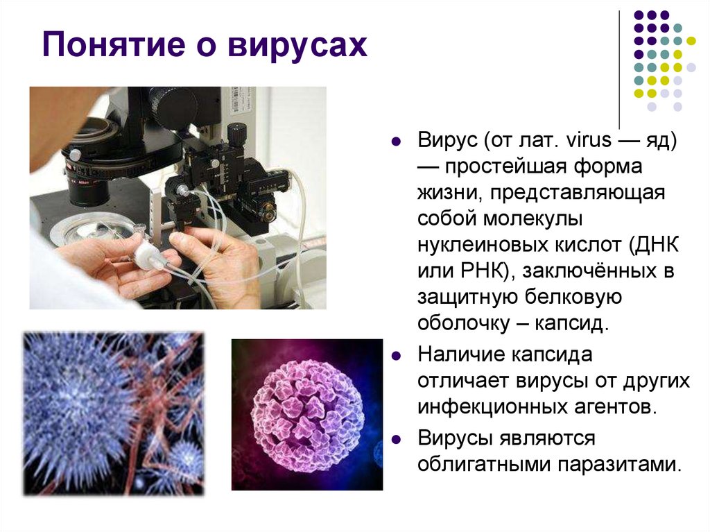 Вирус является формой жизни. Понятие о вирусах. Понятие вирусы в биологии. Термин вирус. Форма жизни вирусов.