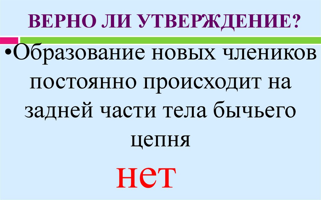 Верно ли утверждение