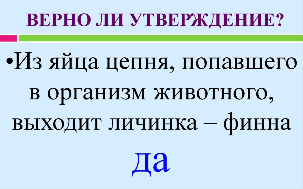 Верно ли