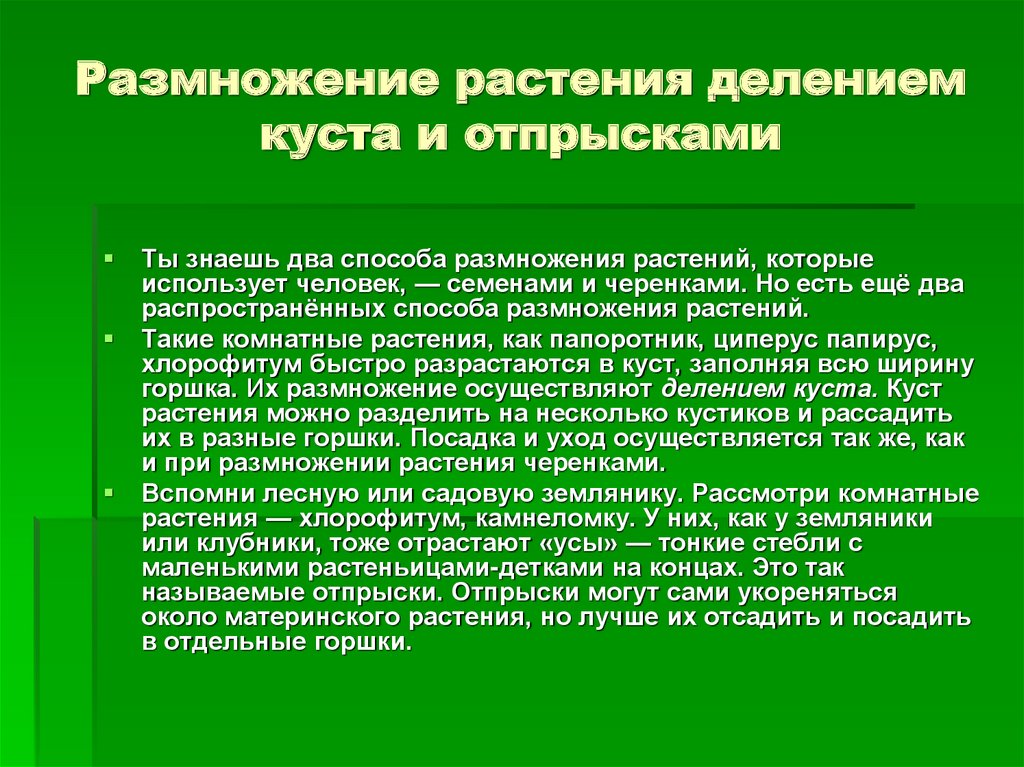 Какие растения размножаются делением. Размножение растений делением. Размножение растений делением куста. Какие растения размножаются делением куста. Способ размножение делением растений.