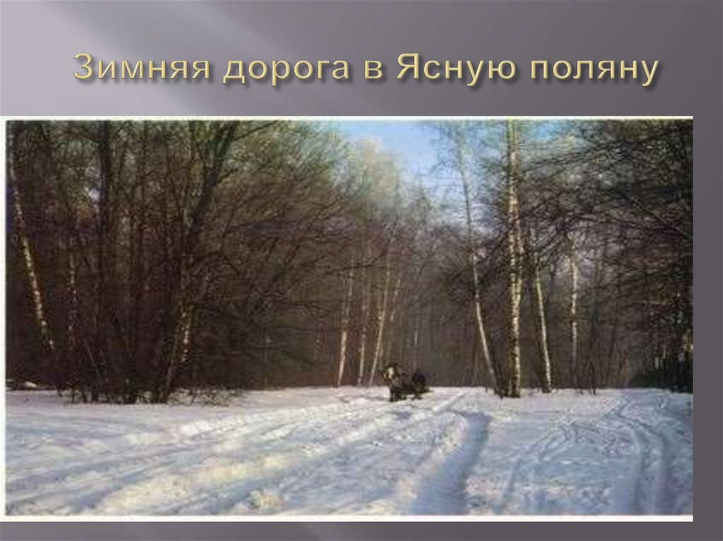 Зимняя дорога в Ясную поляну