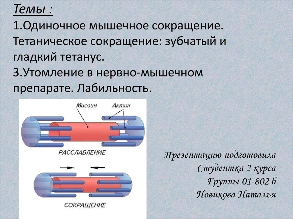 Белки обеспечивающие мышечное сокращение