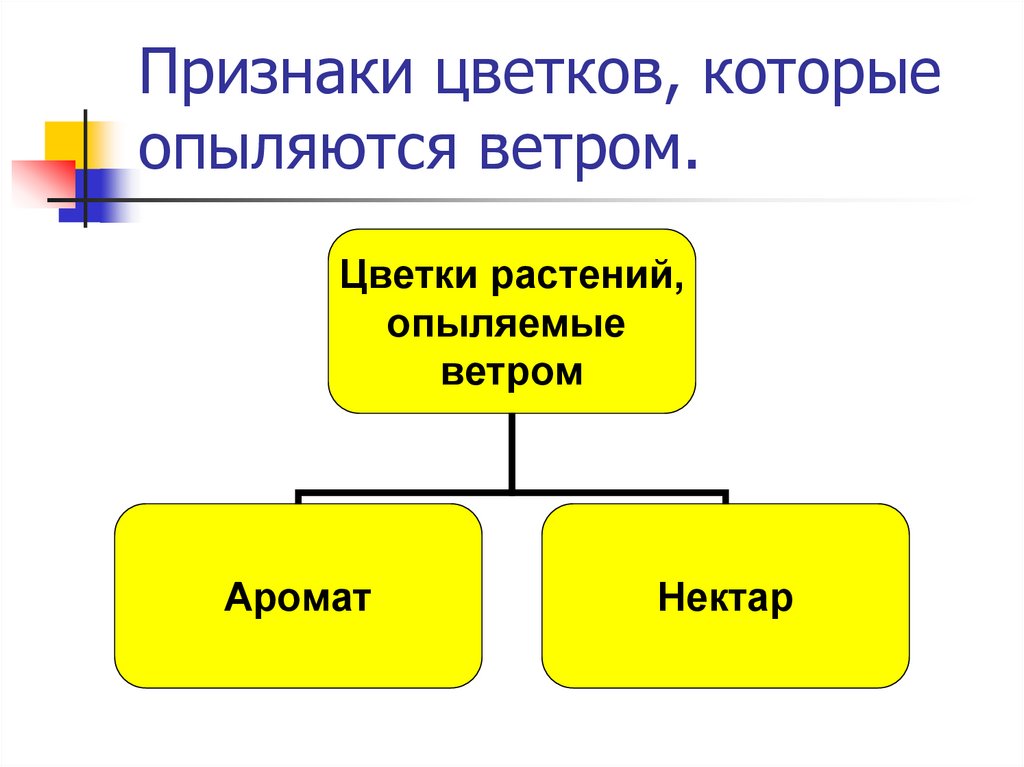 Признаки цветковых растений