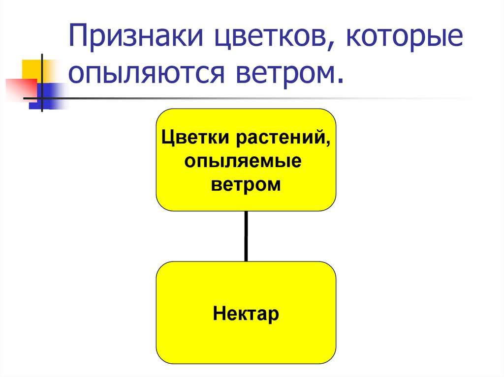 Признаки цветка