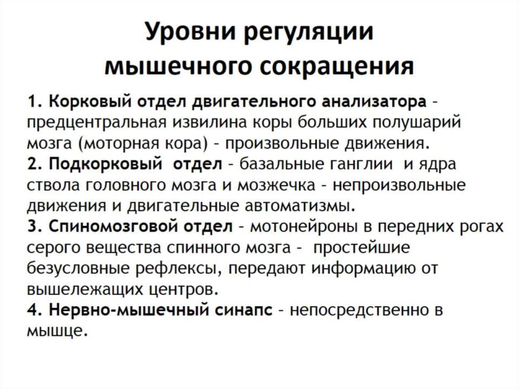 Регуляция скелетных мышц