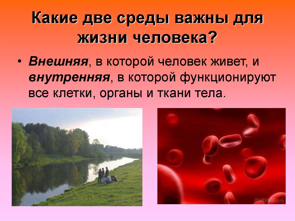 Какие 2 важнейших. 2 Среды жизни человека. Двойная среда. Двух сред. Две среды песня.