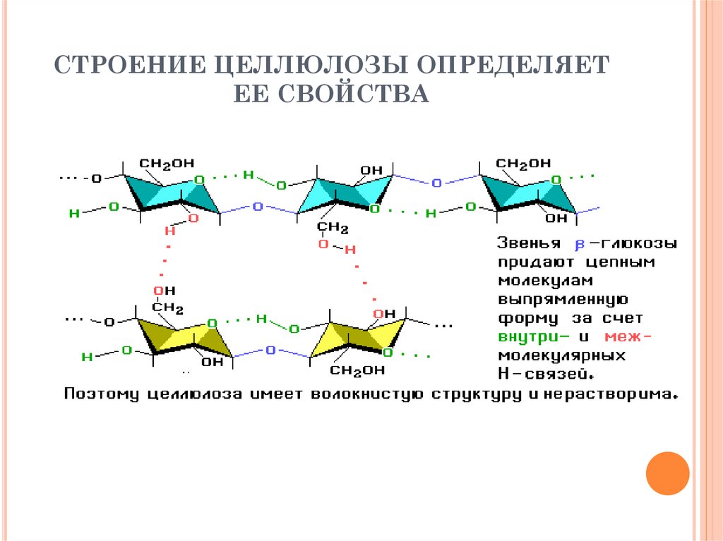 Целлюлоза связи. Линейное строение целлюлозы. Целлюлоза строение. Структура целлюлозы. Вторичная структура целлюлозы.