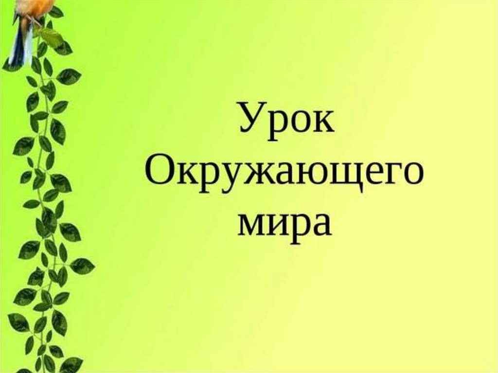 Урок окружающего мира картинка для презентации