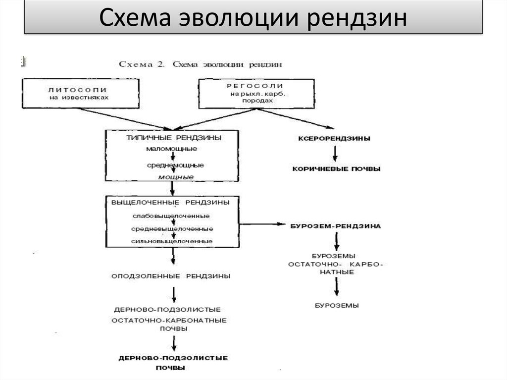 Составьте схему эволюции орудий труда