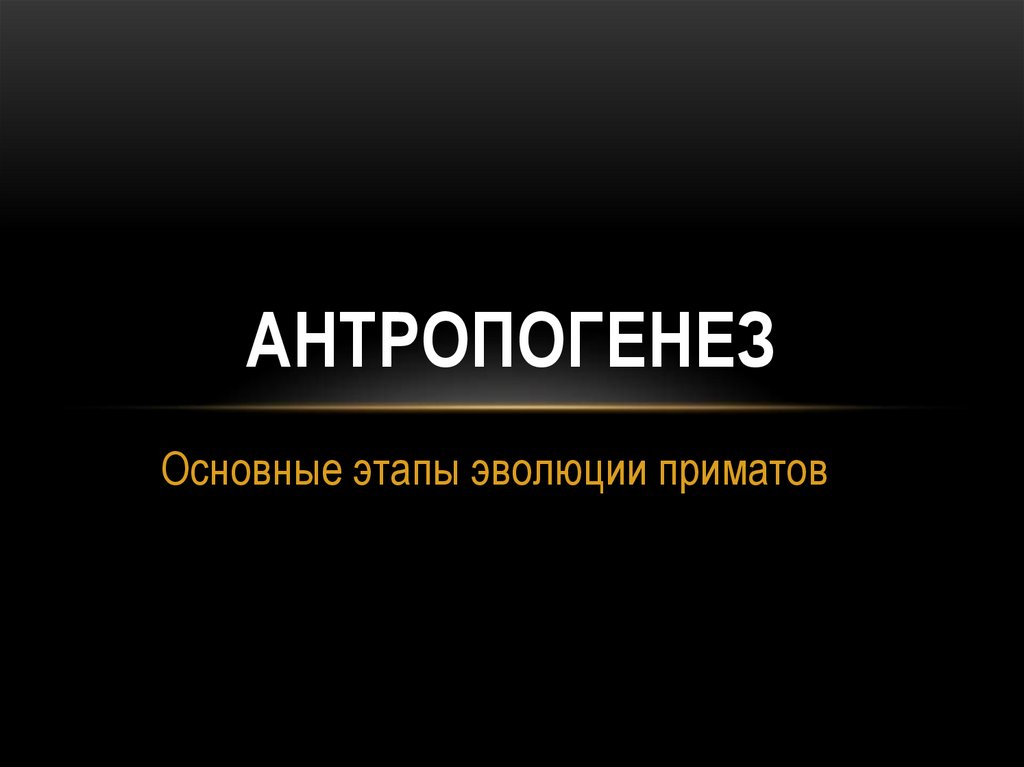 Основные этапы эволюции приматов презентация