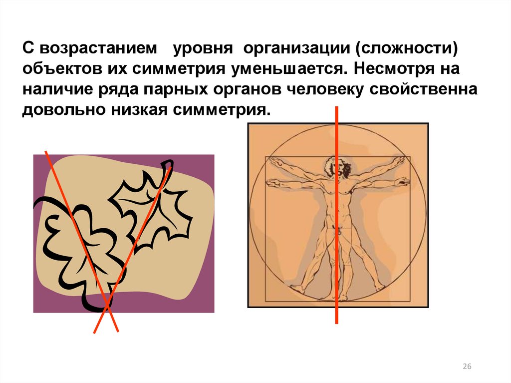 Хаос, симметрия и Энтропия
