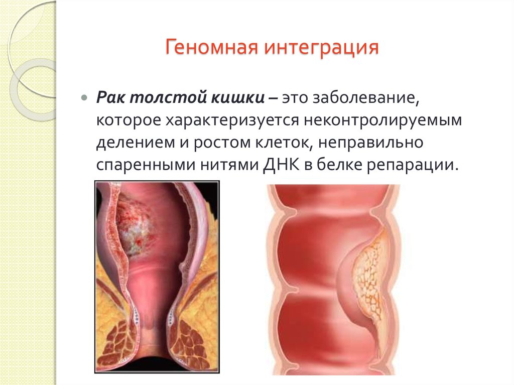 Геномная интеграция