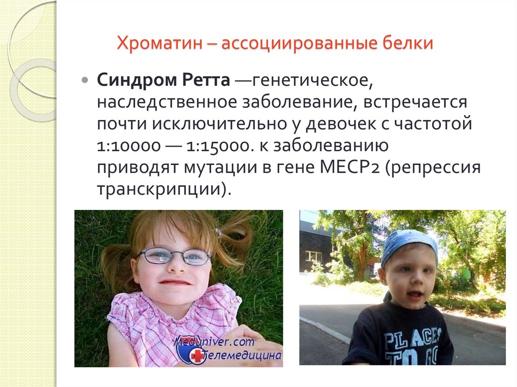 Хроматин – ассоциированные белки