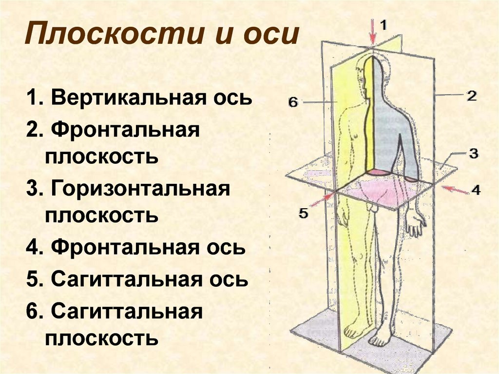 Изображение на плоскости это