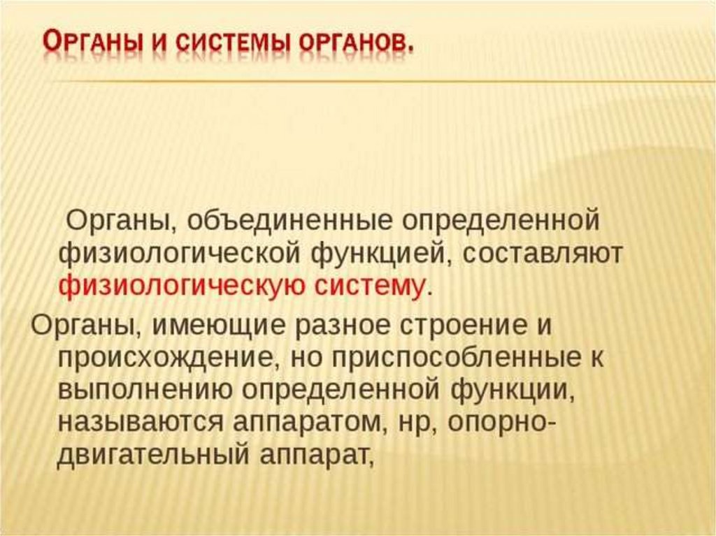 Опре деленной. Объединение определенной физиологической функцией составляют. Объединение органов. Вводная лекция по анатомии. Объединения органов человека.