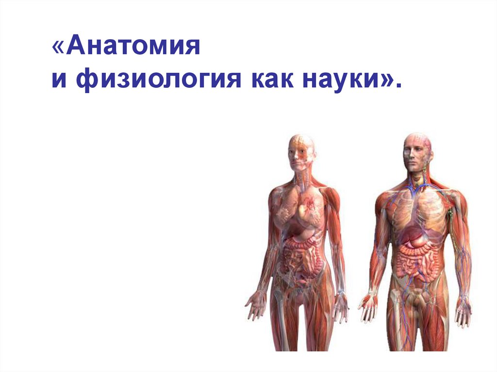 Исследования тела человека