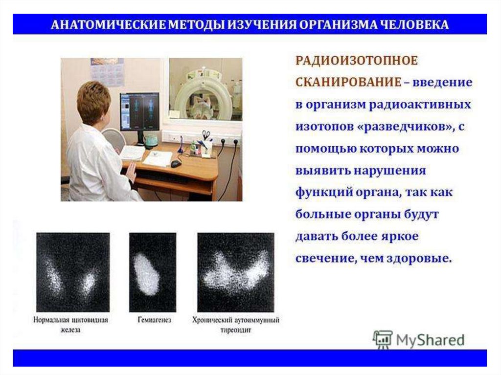 Современные методы изучения организма человека презентация