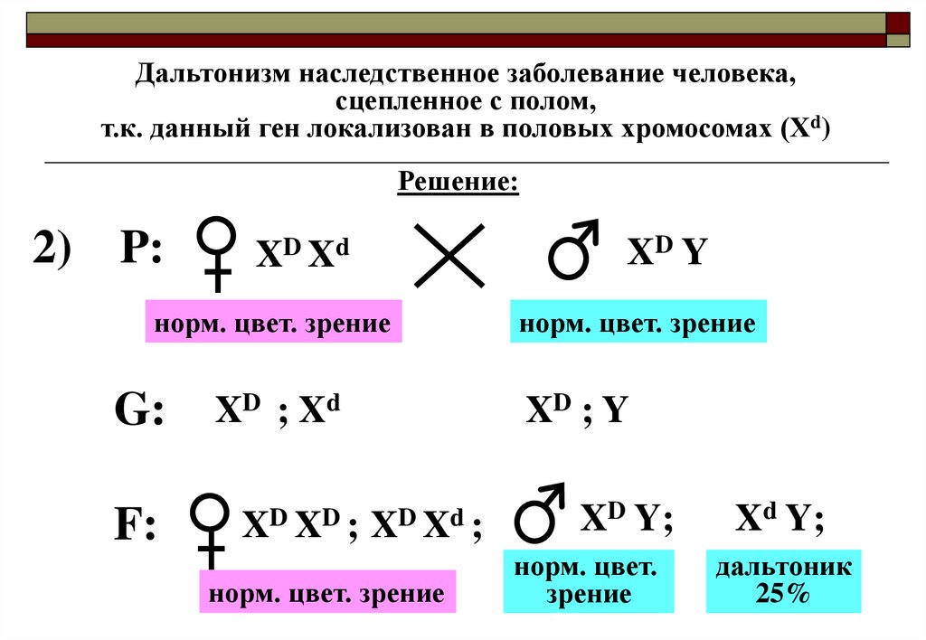 Ген общей цветовой слепоты