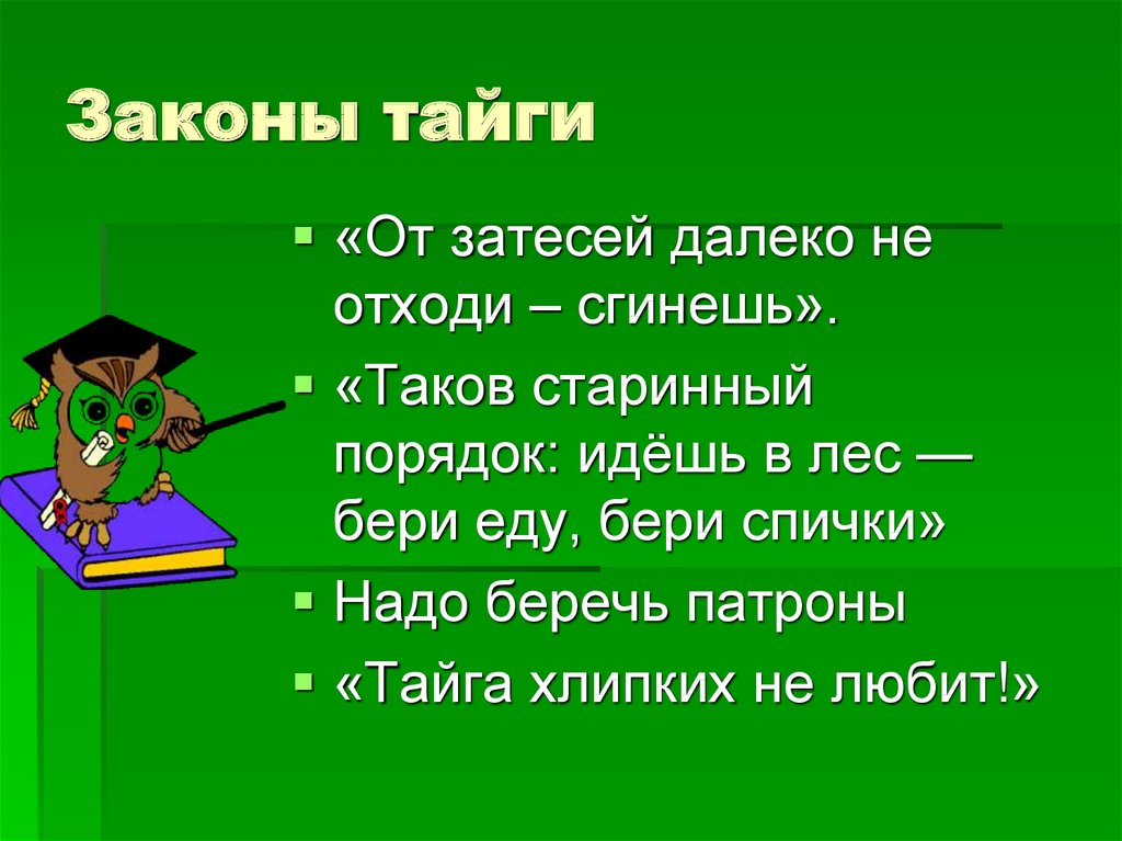 Закон тайги сюжет