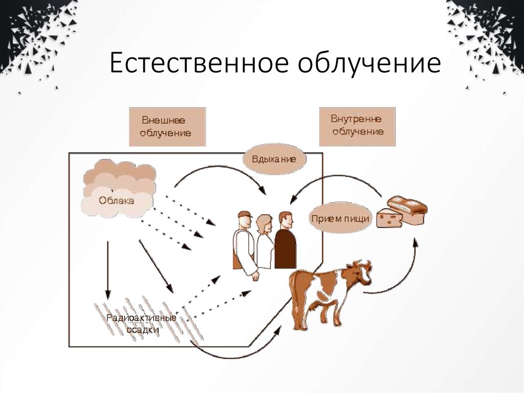 Естественное облучение человека