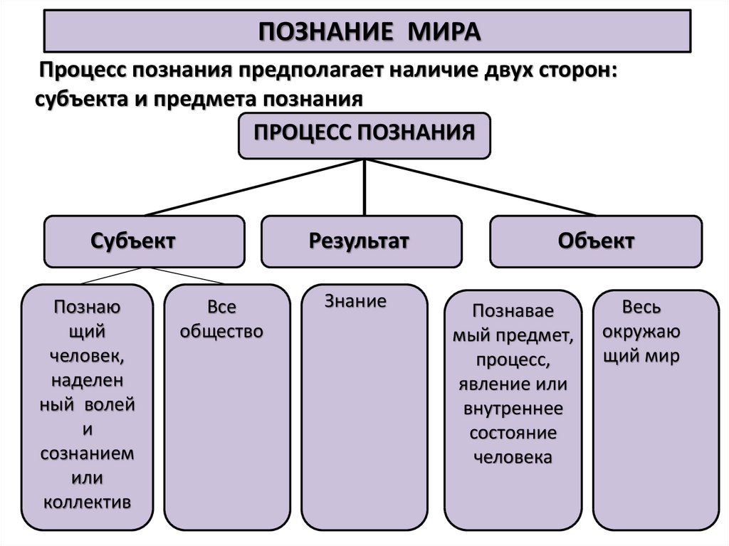 Человек объект и субъект познания план по обществознанию егэ