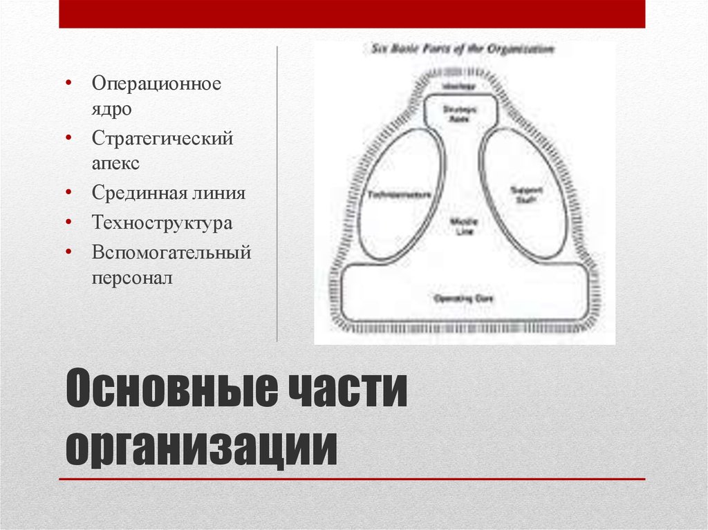 Части организации. Техноструктура по Минцбергу. Основные части организации. Части органа. Техноструктура организации это.