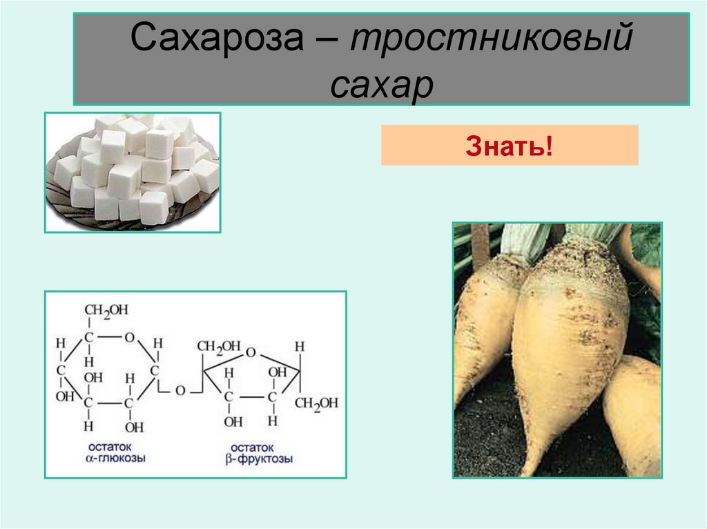 Сахарный тростник формула. Сахароза (тростниковый, свекловичный сахар). Строение сахарозы. Сахароза сахарный тростник. Формула сахарного тростника.