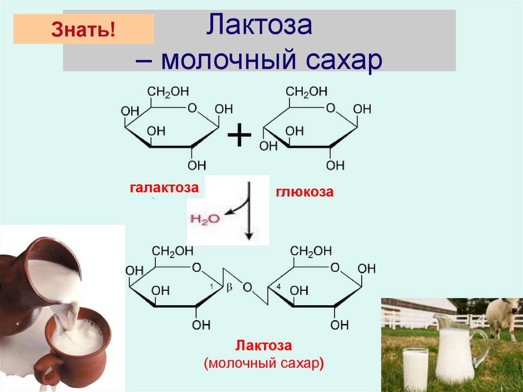 Лактоза химические свойства