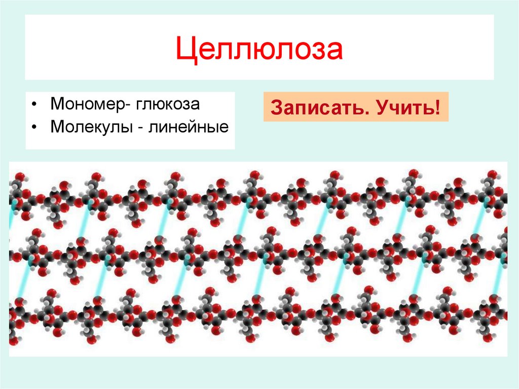 Линейная молекула