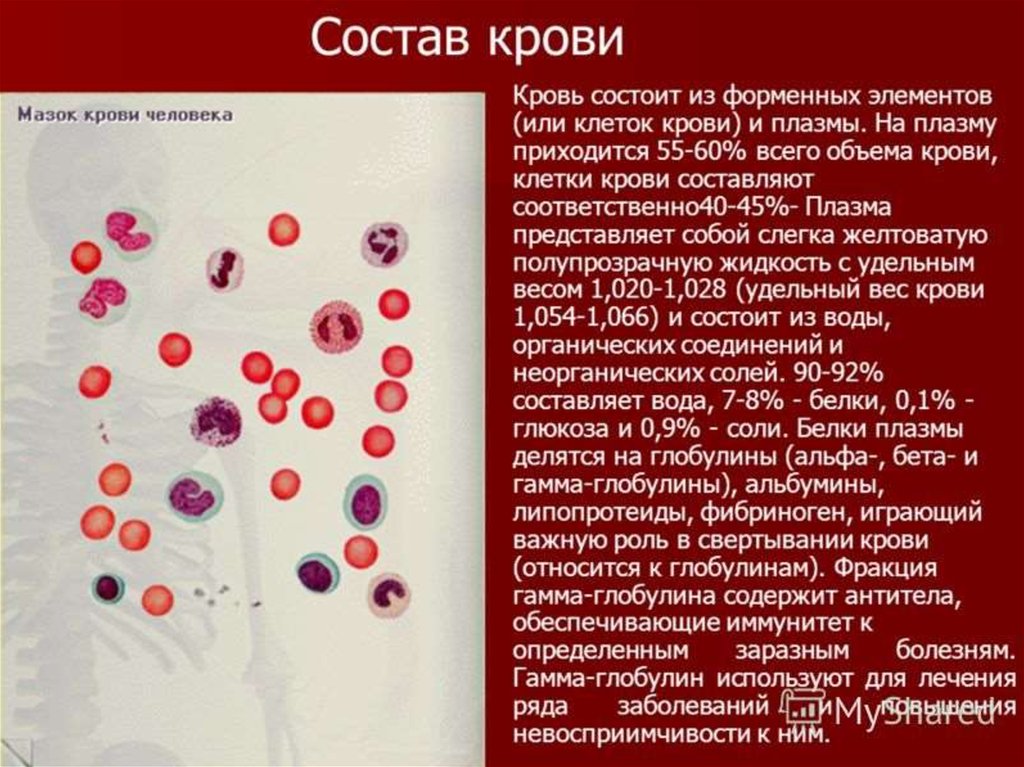 Кровь биология 11 класс. Клетки крови. Кровь человека состоит. Форменные элементы крови. Состав и строение крови.