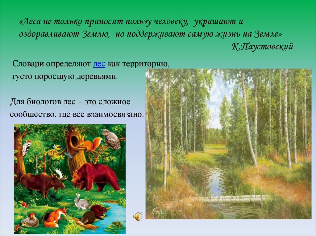 «Леса не только приносят пользу человеку, украшают и оздоравливают Землю, но поддерживают самую жизнь на Земле» К.Паустовский