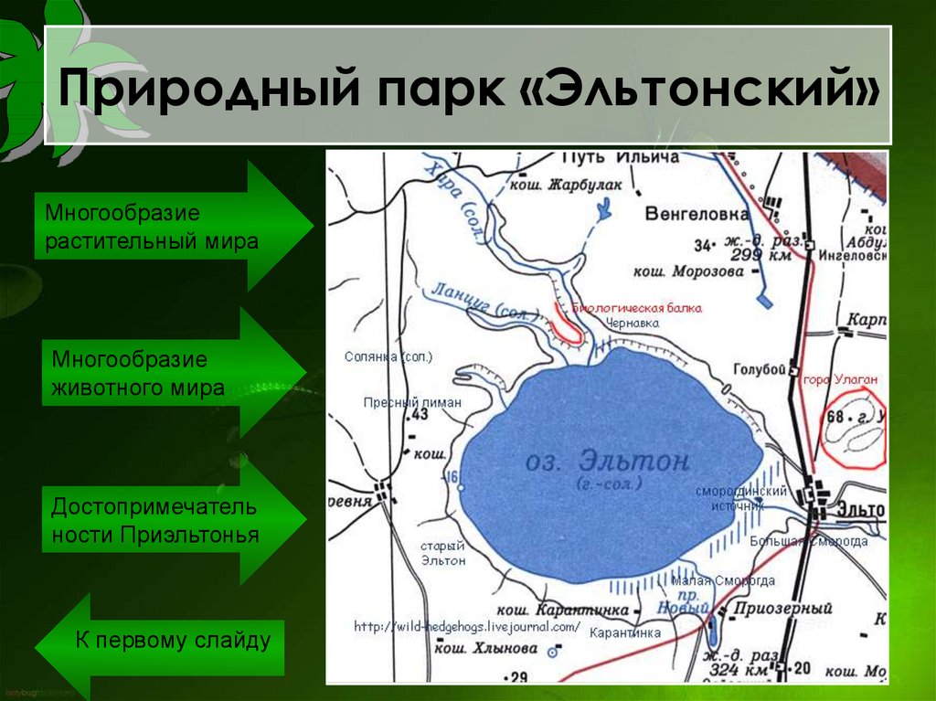 Карта озера эльтон