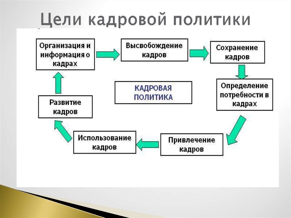 Кадровые цели организации. Цели и задачи кадровой политики организации. Цели кадровой политики. Понятие кадровая политика предприятия. Главная цель кадровой политики.