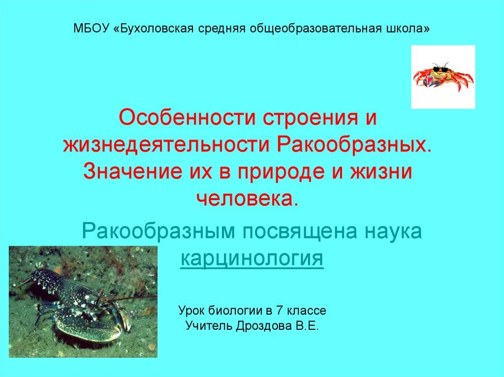 Значение ракообразных в природе и жизни. Особенности строения ракообразных. Особенности строения и жизнедеятельности ракообразных. Ракообразные в жизни человека. Ракообразные в природе и в жизни человека.