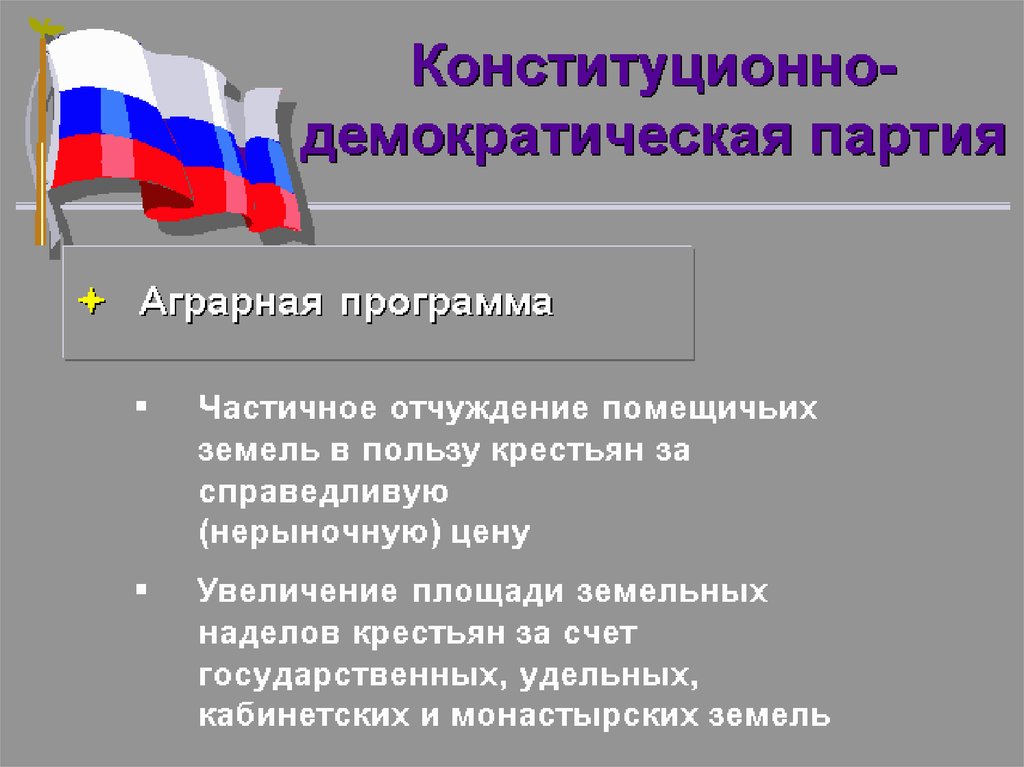 Политическая форма правления в россии. Конституционно-Демократическая партия форма правления. Конституционно-Демократическая партия программа. Конституционная демократия. Конституционно-Демократическая партия аграрный вопрос.