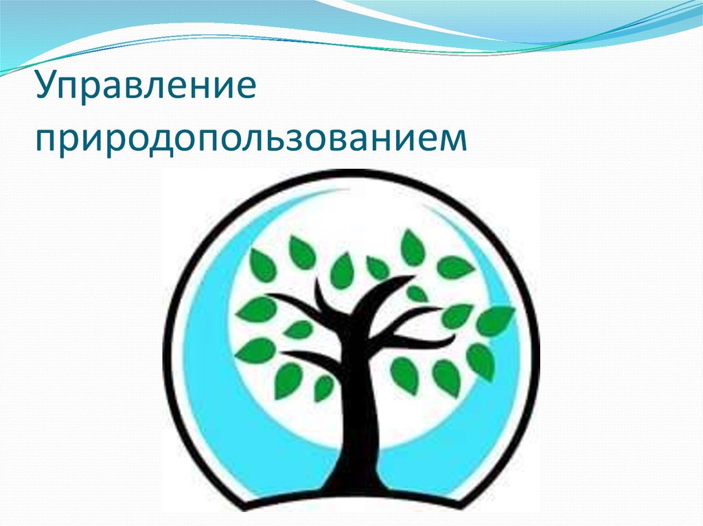 Органы окружающей среды. Управление природопользованиеv. Экологическое управление природопользования. Формы управления природопользованием. Формы управления природопользованием и охраной окружающей среды.