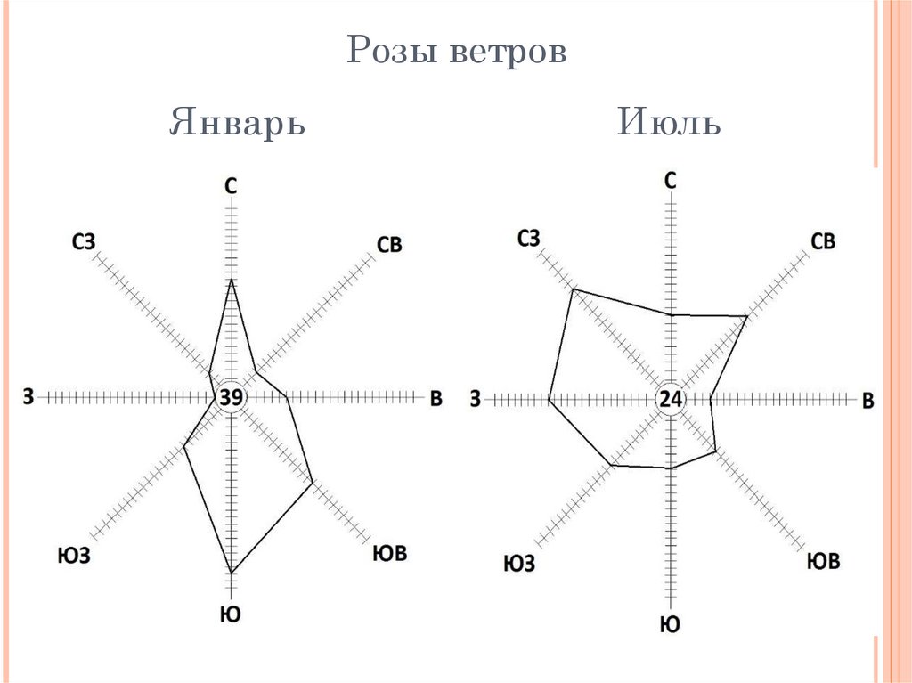 Г ветров. Роза ветров. Самара. Январь. Июль.. Роза ветров Тверской области. Роза ветров Самарская область. Роза ветров Пензенской области.