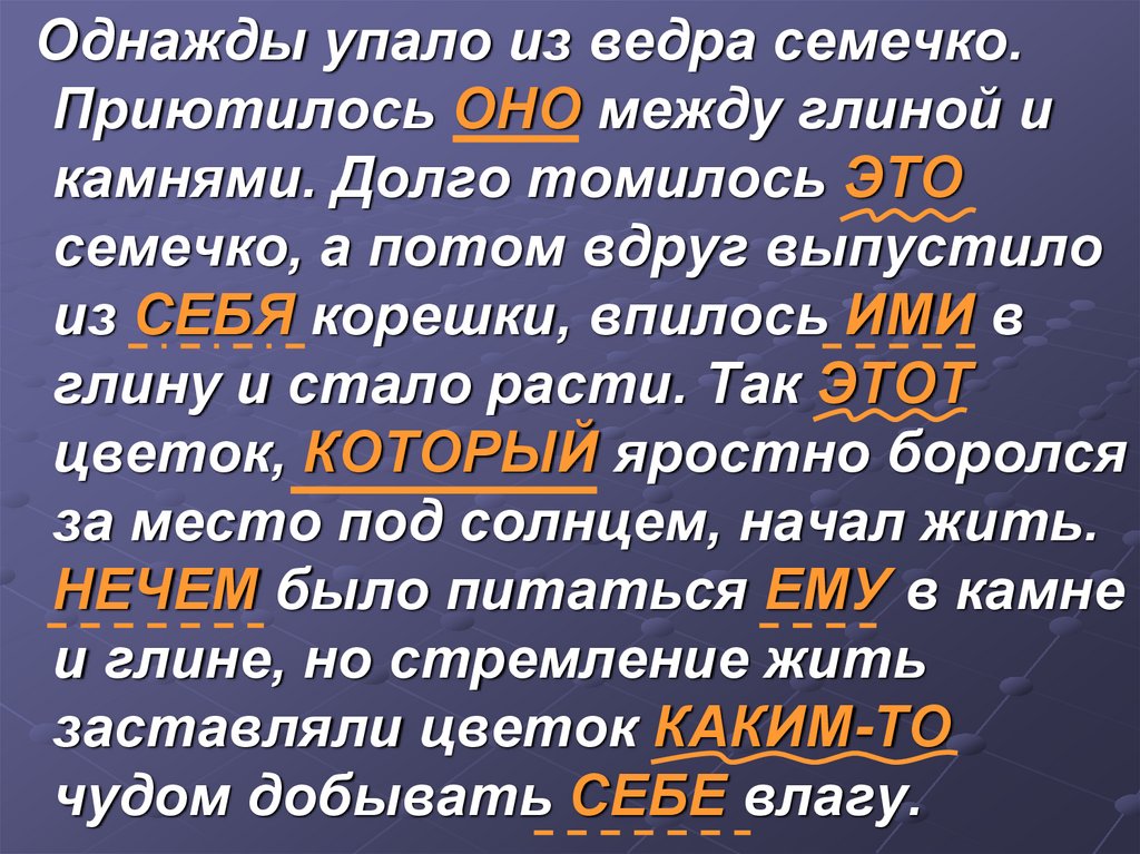 Однажды речи. Однажды упало из ведра. Однажды упало из ведра семечко приютилось семечко. Однажды упала из ведра 1 семечка. Однажды упало из ведра одно семечко и приютилось оно в ящике.