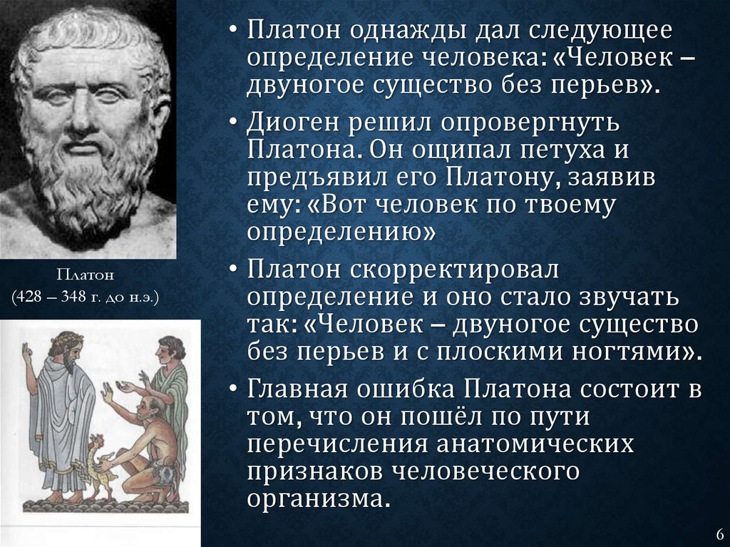 Платон человек и общество. Человек философия. Счастье по Платону. Личность философа. Модели человека в философии.