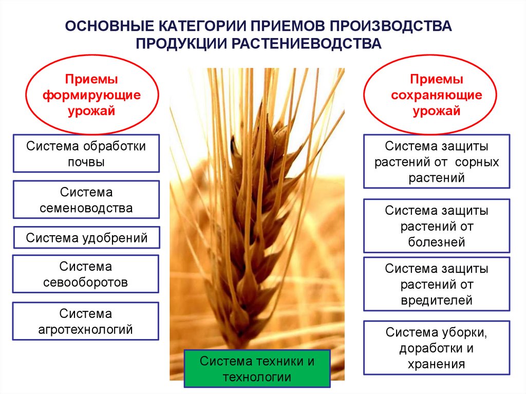 Тенденции развития современных систем земледелия презентация