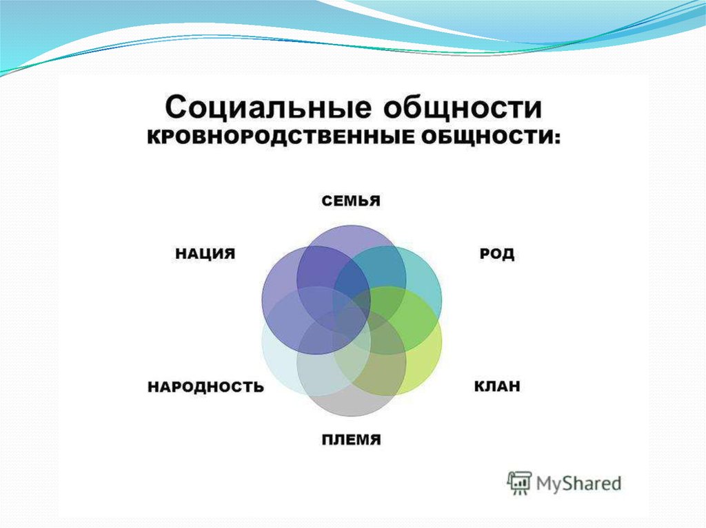 Социальные общности людей. Социальные общности кровнородственные. Принадлежность к общности. Род племя клан народность. Цвет общности.