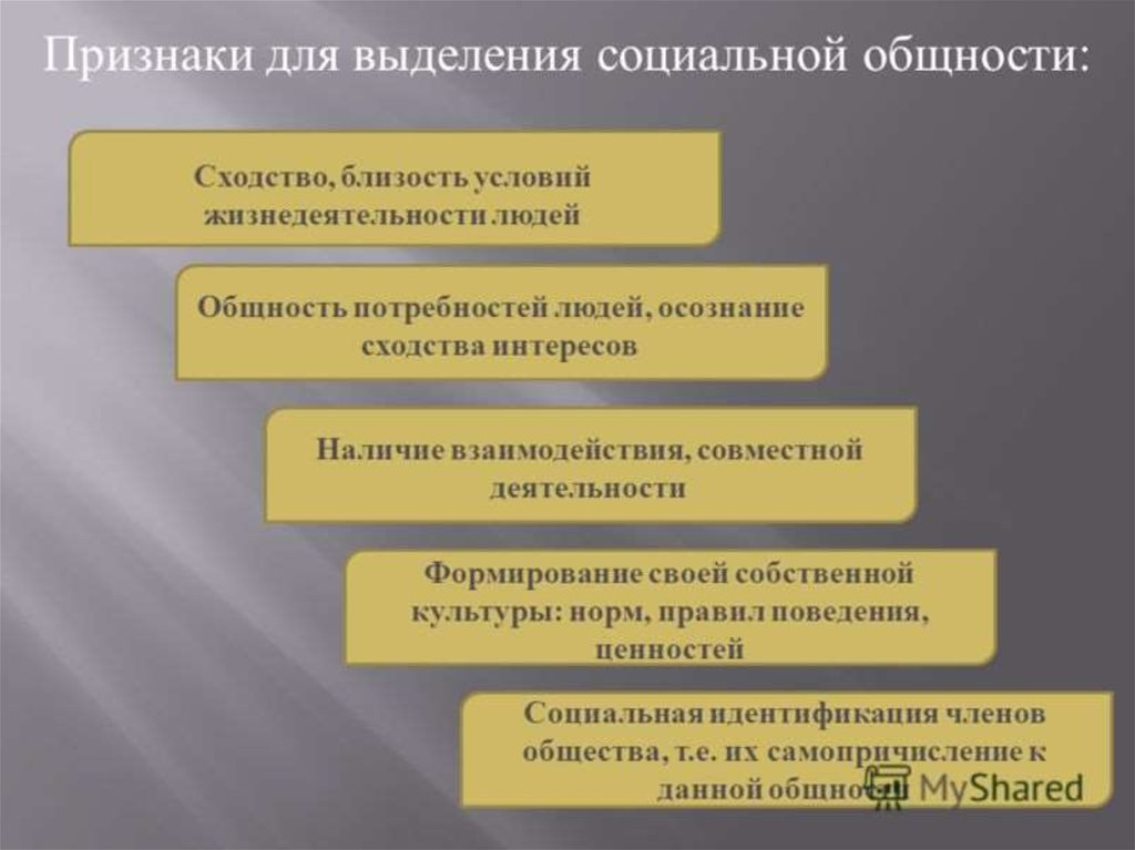 Признаки социального общества. Признаки социальной общности. Потребность в социальной общности. Критерии социальной общности.