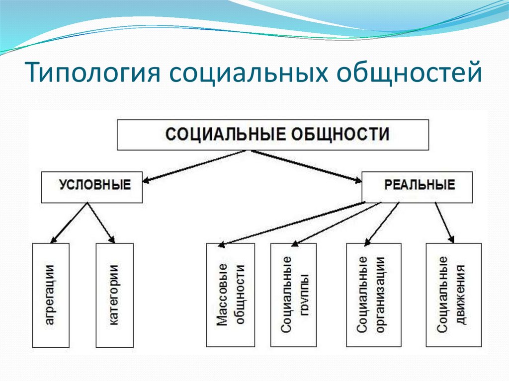 Многообразие социальной общности. Типология социальных общностей. Виды социальной общности с примерами.