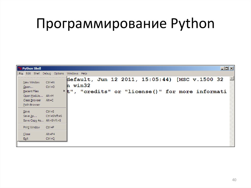Начало программы на python