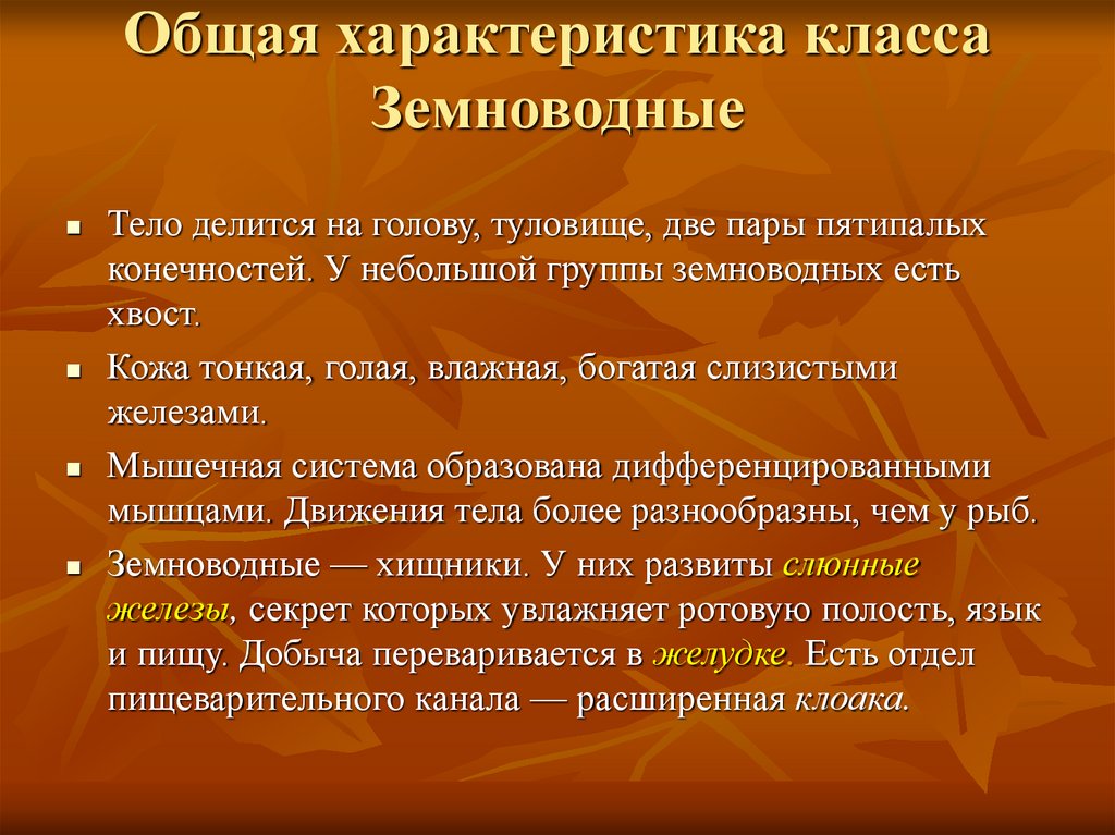 Характеристика класса земноводные кратко. Класс земноводные общая характеристика. Характеристика класса земноводных. Общая характеристика класса земноводных. Общая характеристика амфибий.