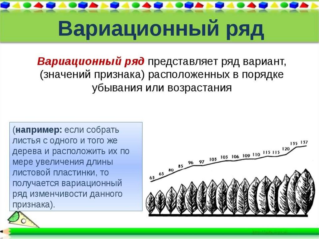 Средний вариационный ряд. Вариационный ряд. Вариационный ряд это в биологии. Вариационный ряд пример. Построение вариационного ряда.