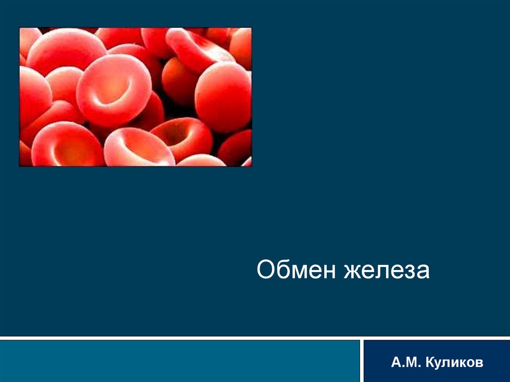 Обмен железы. Обмен железа. Обмен железа ppt. Обмен железа плода презентация.